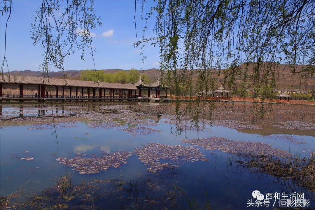西和县湿地公园——陇东南地区最大的水库