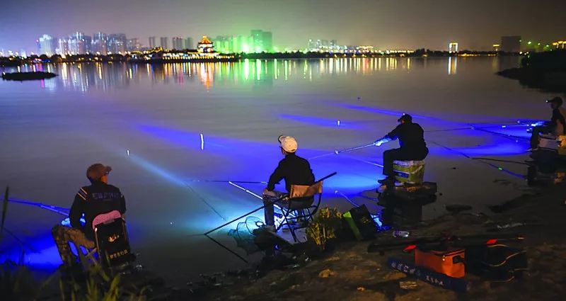 夏季夜钓的时候一定要掌握这些钓鱼技巧!