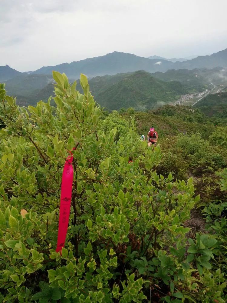 缙云周村人口_缙云烧饼(2)