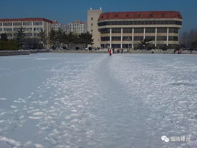 那年我们在烟大20082017我和烟大的老照片