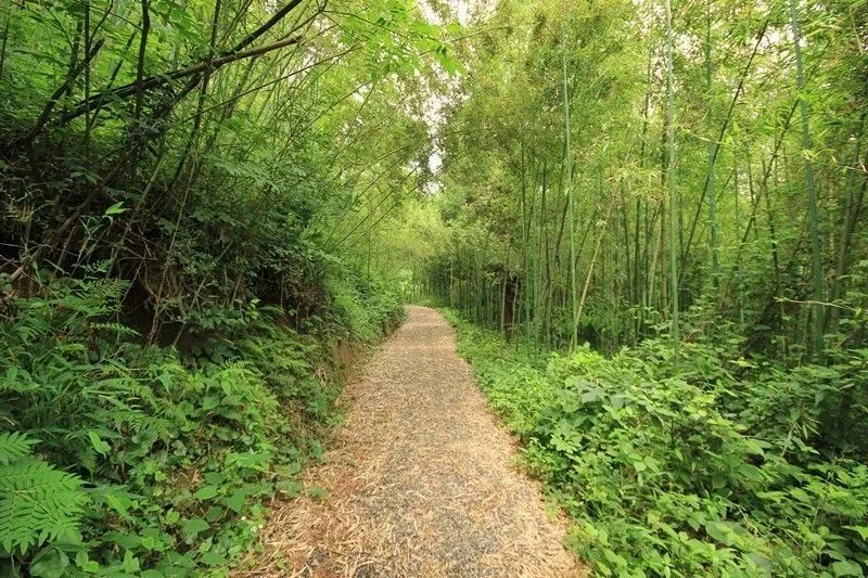 天泉山也是风景秀丽.