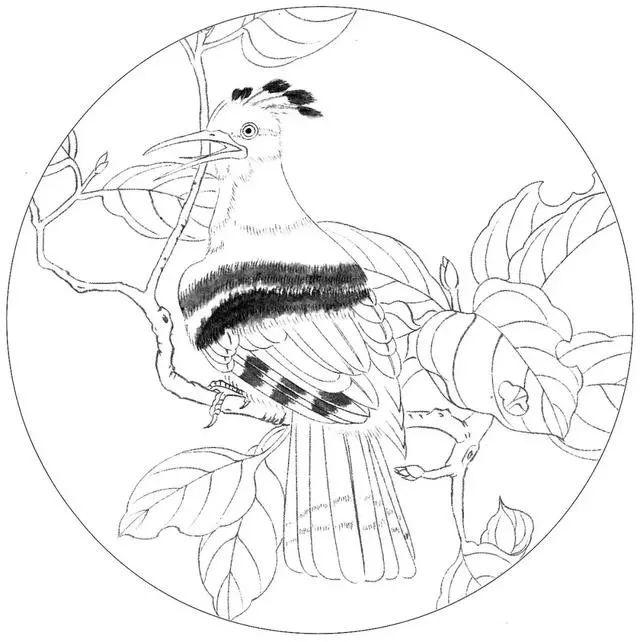 49幅經(jīng)典高清國(guó)畫白描作品