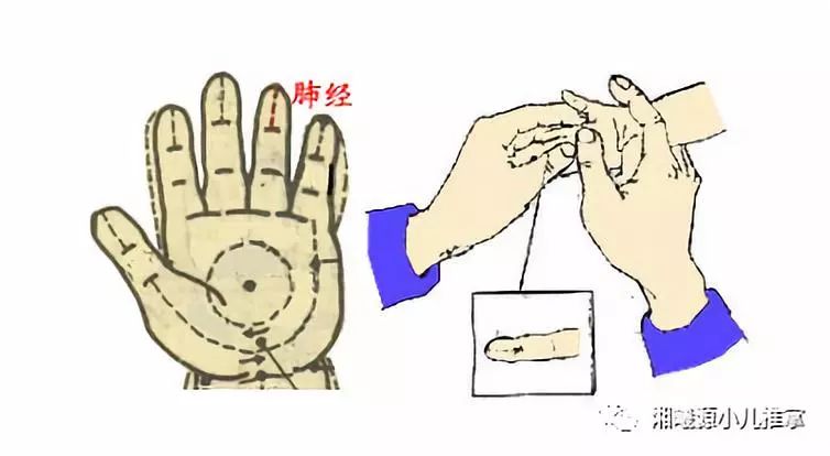 小儿推拿退烧六部图