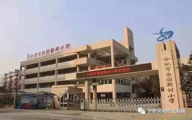 奥体小学等校将有变化!合肥新组建7个教育集团,这个区教育大爆发!