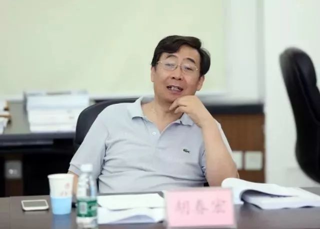 专家组组长胡春宏院士发言下午,胡春宏院士代表专家组宣读了对两个