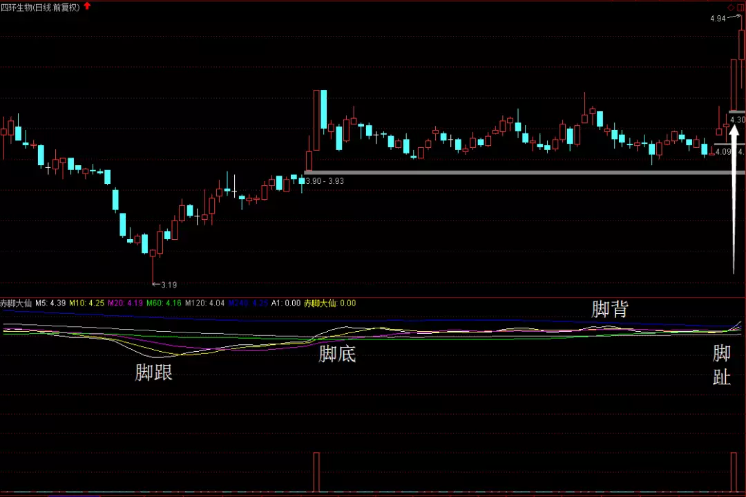 通达信指标赤脚大仙选股战法牛股预测副图