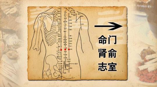 中医治疗疲劳健忘的穴位——志室穴