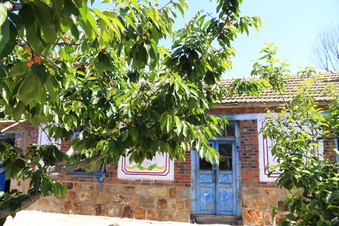 【区县旅游】旅顺小南村,慢下来的田园生活