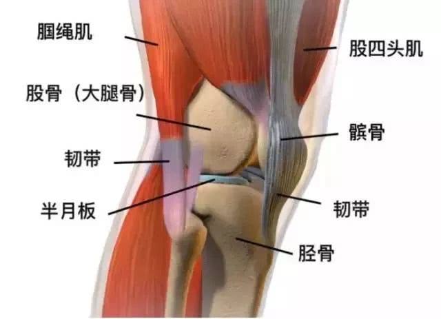 膝关节疼痛的不同部位,疼痛的性质和程度,是属于什么病?