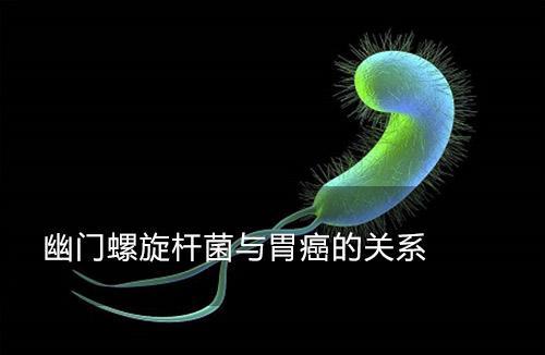 四,癌变帮凶:幽门螺旋杆菌