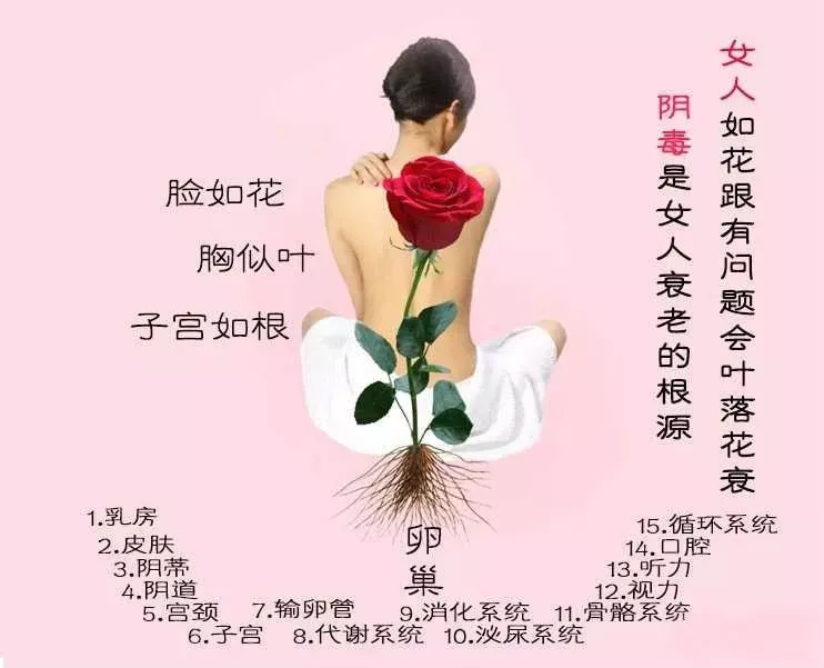 因此卵巢保养对女性朋友来说非常重要.