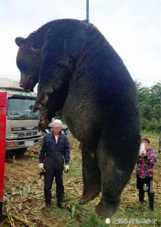 日本为何爱拍哥斯拉怪兽电影只因当年常有此种恐怖巨兽食人