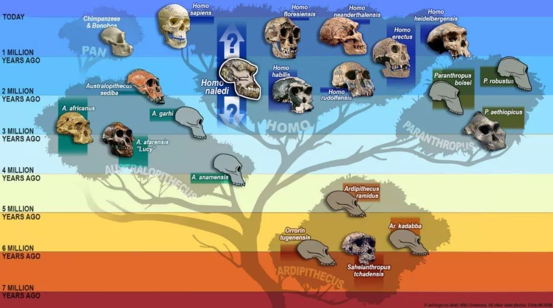 解读达尔文《进化论》的10个漏洞,地球生命仍是未解之谜 !