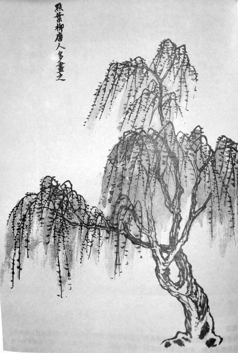 山水画的基础技能,不同的树有不同的画法第三讲
