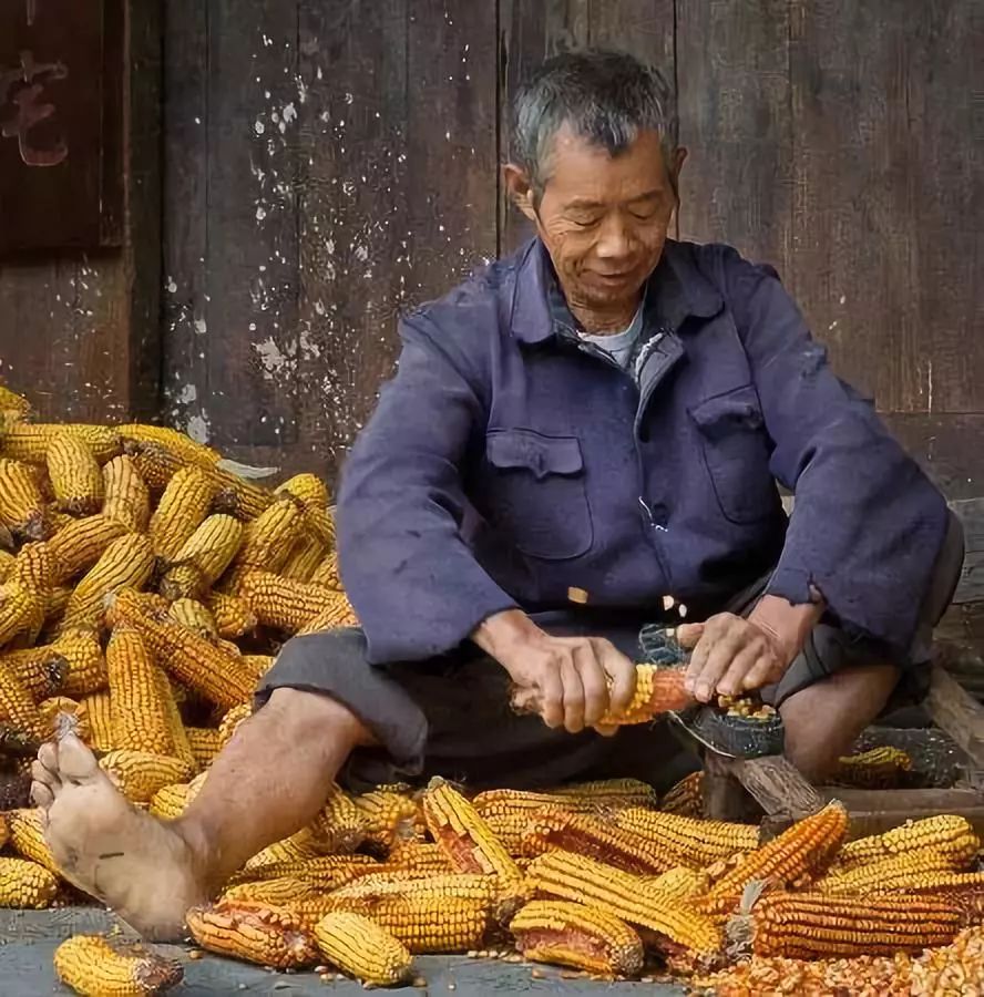 钟祥农村苦孩子的回忆录,你经历过吗?