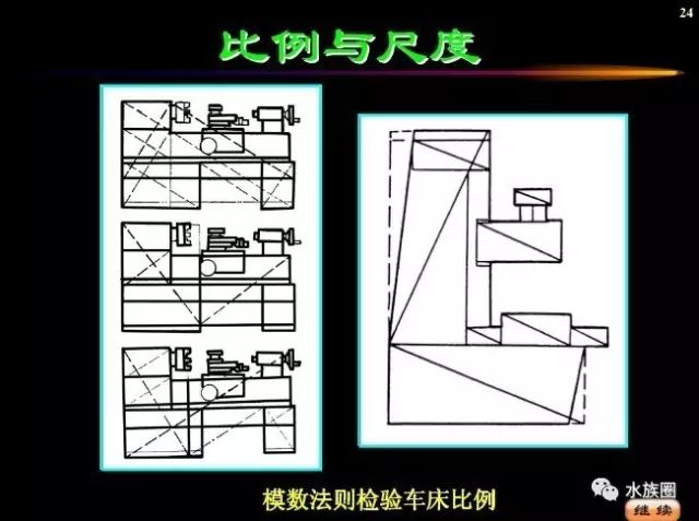 水族另类知识 | 美学原则-比例与尺度,黄金分割