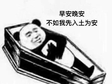 棺材表情包:被安排的明明白白