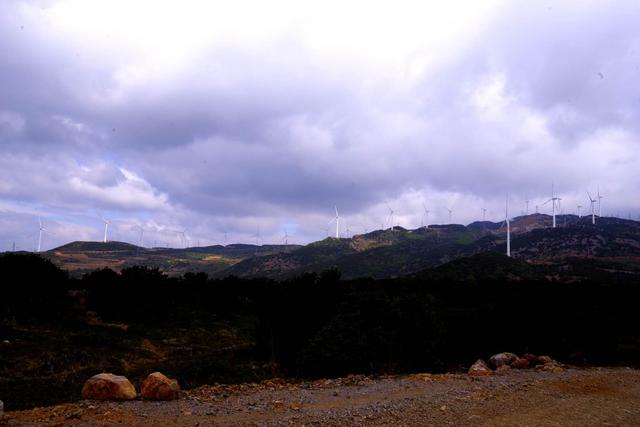 杨向红:大理马耳山杜娟花海 隐藏在大山深处的绝世美景