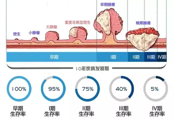 拉屎GDP(3)