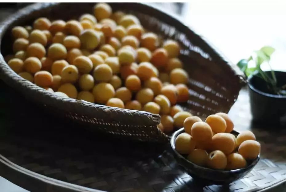 芒种 麦黄梅熟仲夏始,又到青梅煮酒时