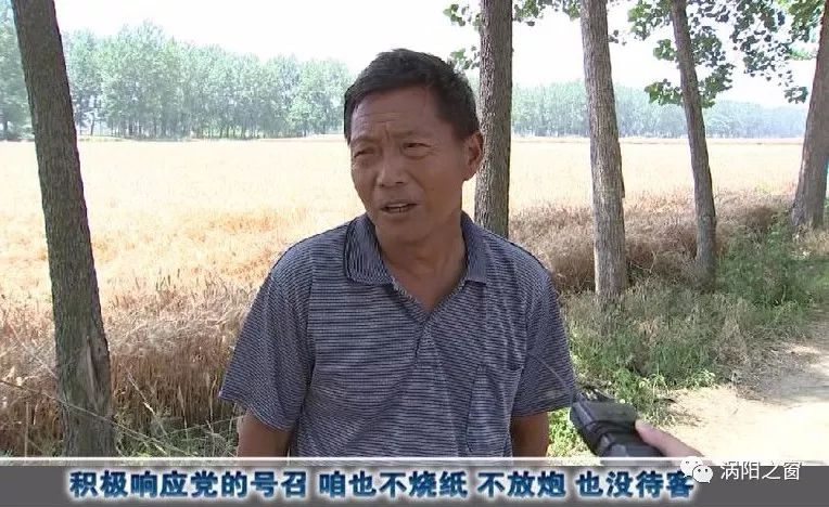 三夏特刊涡阳高公镇禁烧战地党旗红党员一线担先锋