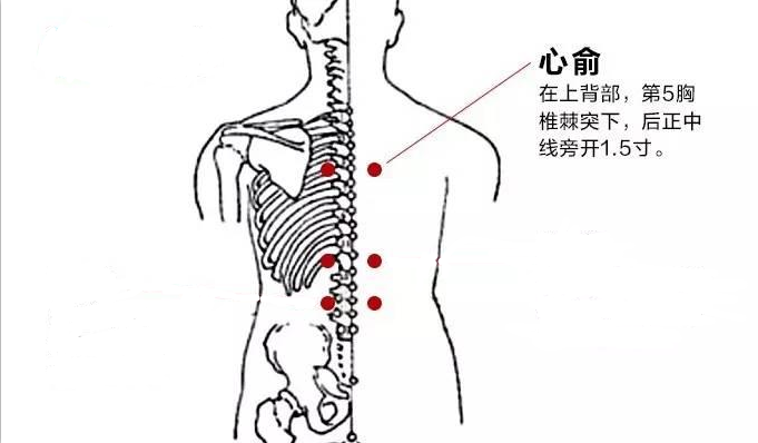 慢性心衰怎么办?艾灸这两个穴位,效果显著