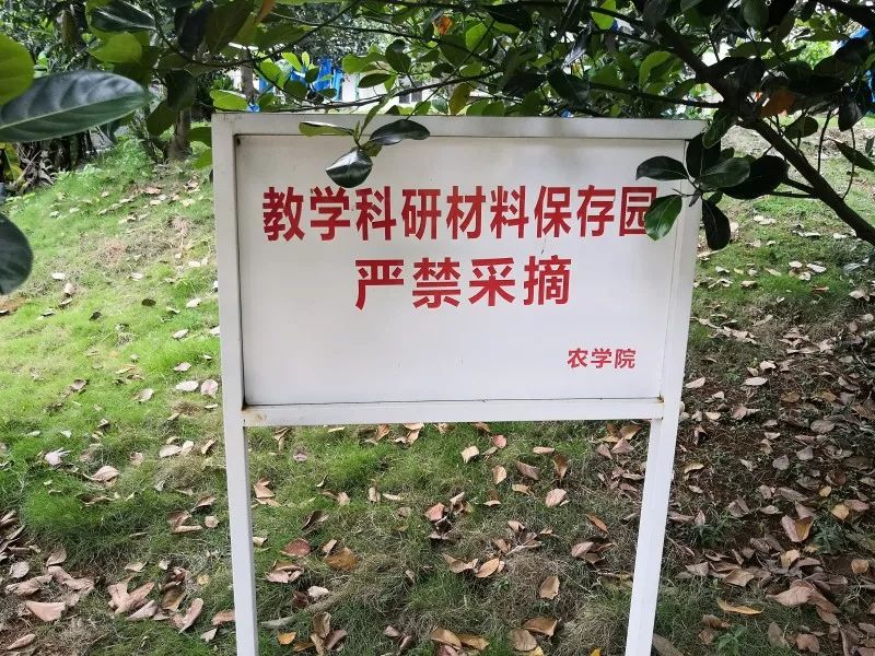 先数林果楼及后山部分地科研用地以及野生的植物(可采摘)人工种植植物