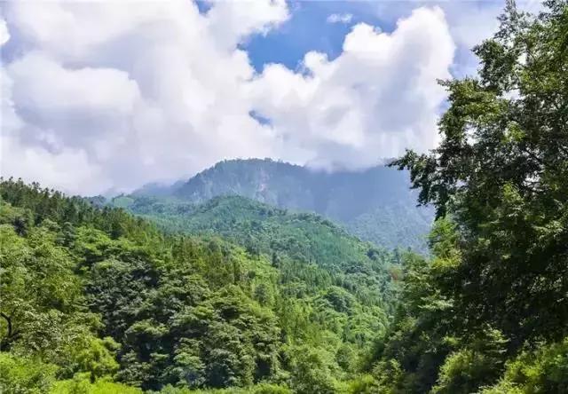 鸡冠山的下面就是麻柳沟,是一处未经开放的原始之地,景色秀美,绿林