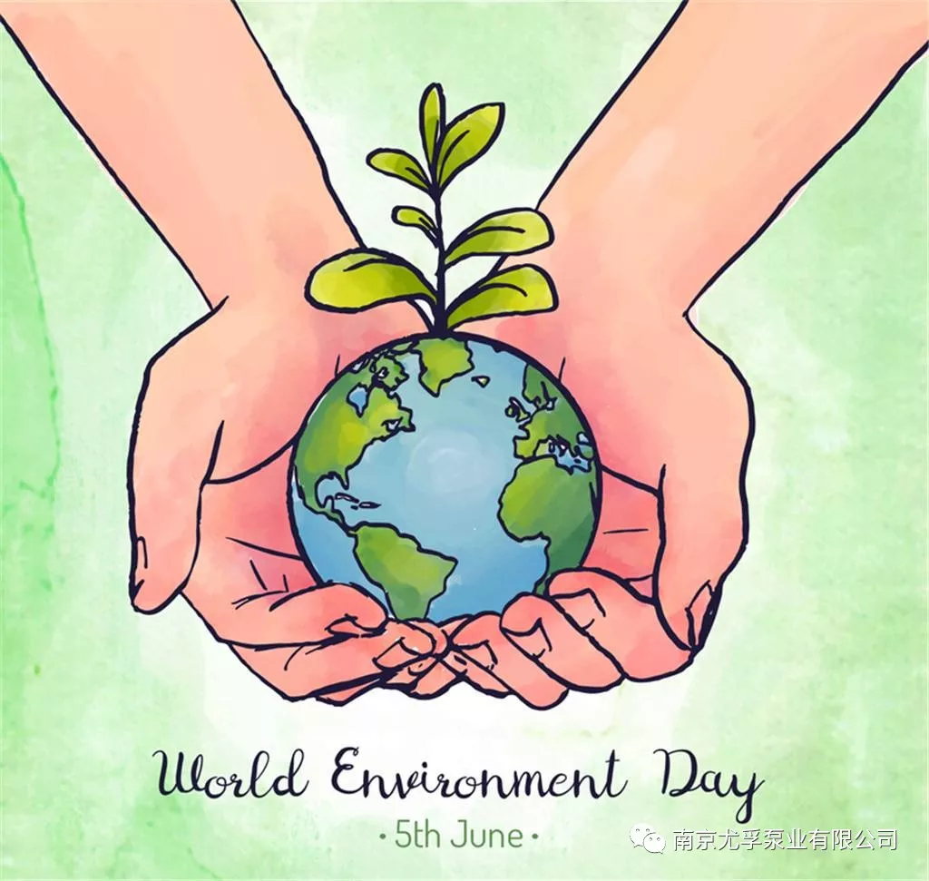 世界环境日|将保护环境付诸行动