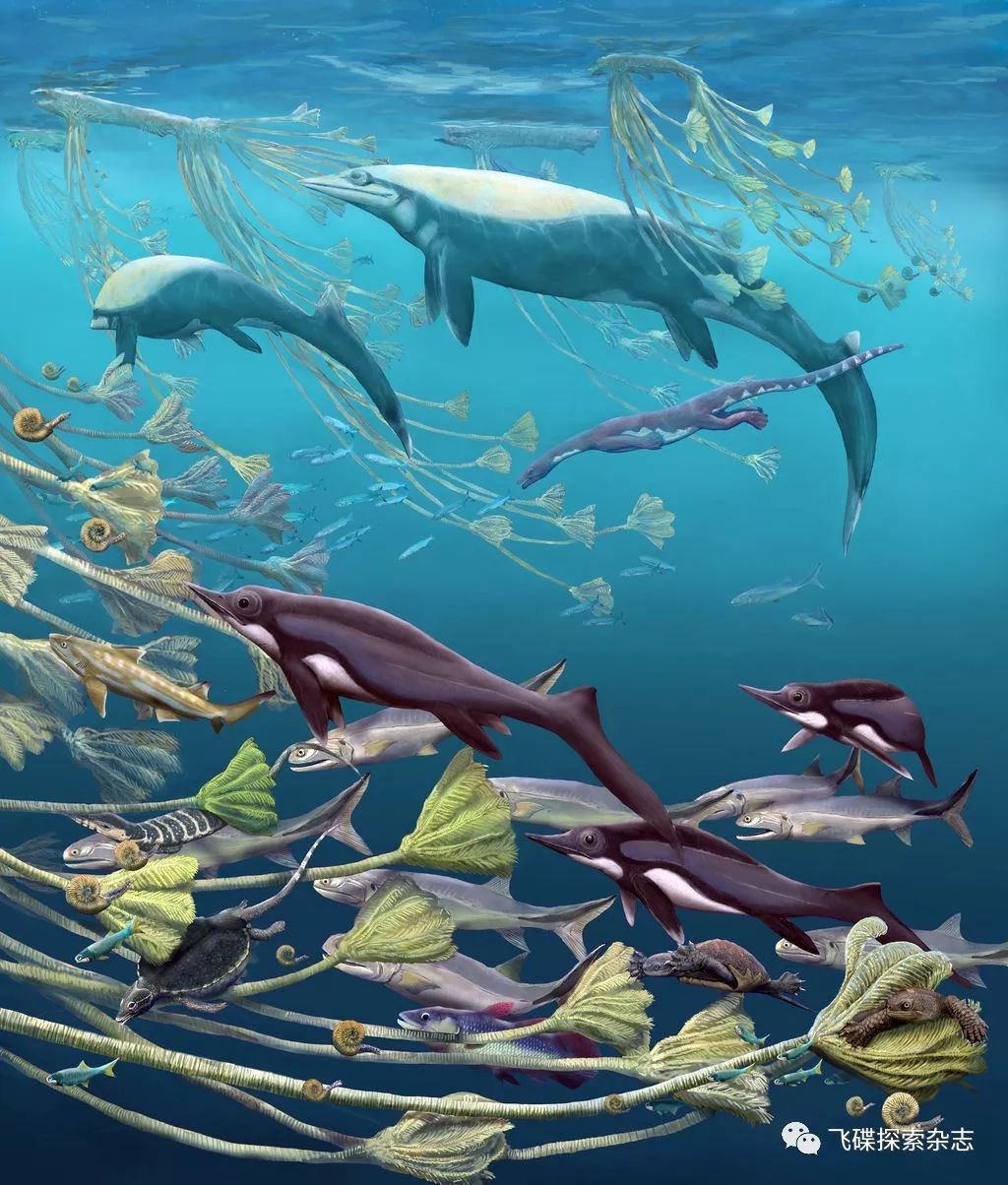 巢湖鱼龙动物群的新发现与三叠纪生物复苏