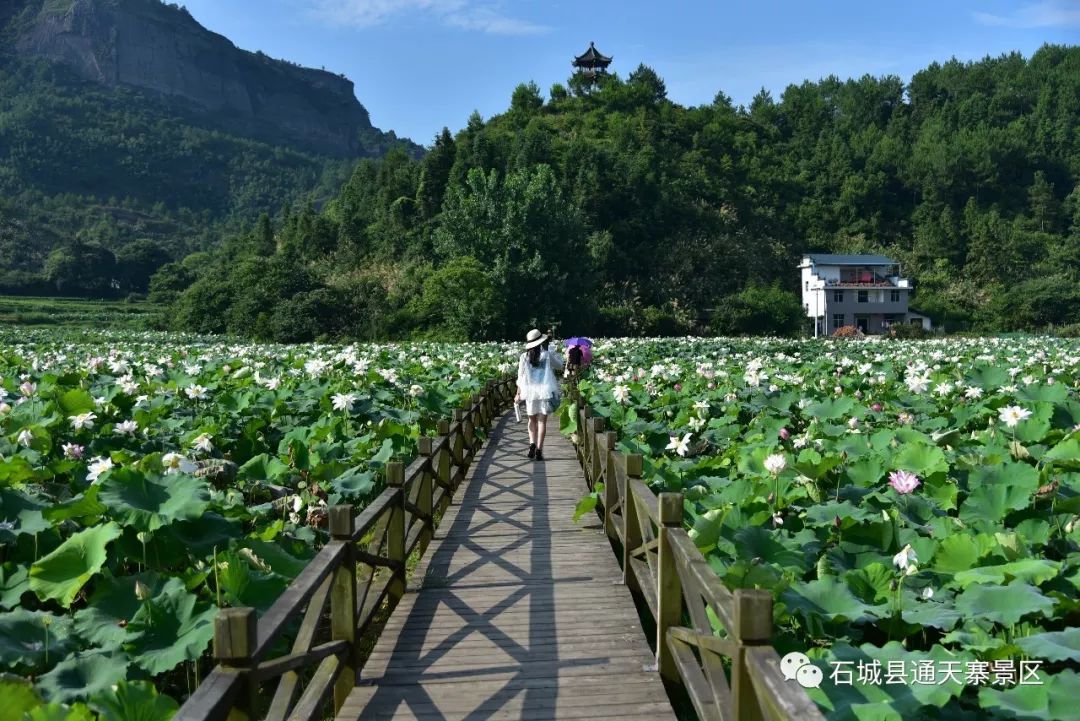 (来源:石城通天寨景区▼返回搜狐,查看更多