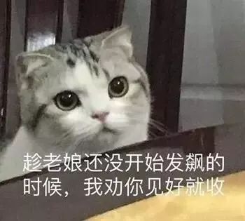 没有猫砂怎么办