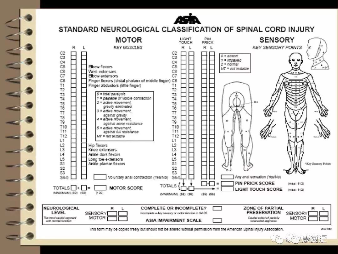 【脊髓康复】脊髓损伤临床特点,康复评定与治疗
