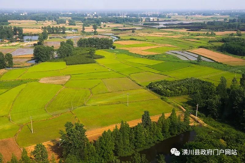 高空俯瞰!潢川的农村竟然这么美,想回家养老了.