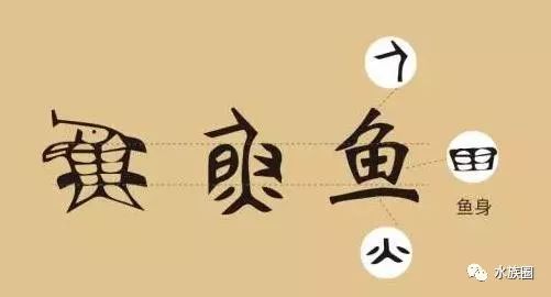 干货鱼字的由来