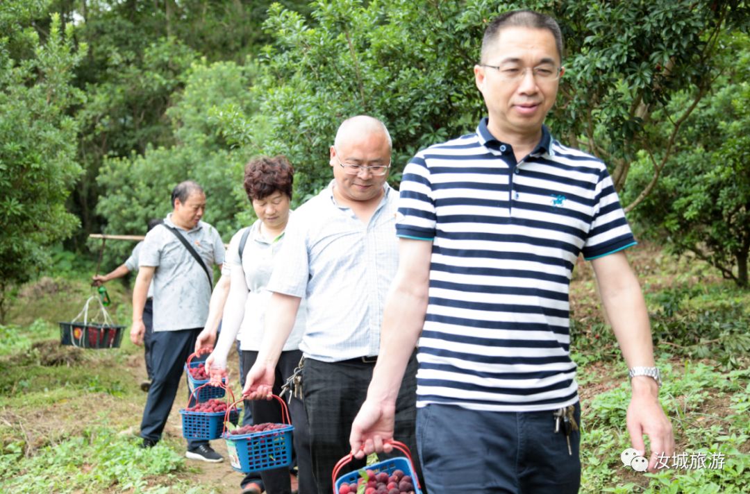 不一样的土桥镇 | 在汝城,为你解锁不一样的夏日避暑新方式