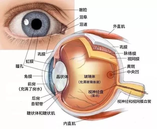 玩手机戴隐形眼镜美瞳喜欢揉眼睛的注意了这种眼病一旦感染终生相随