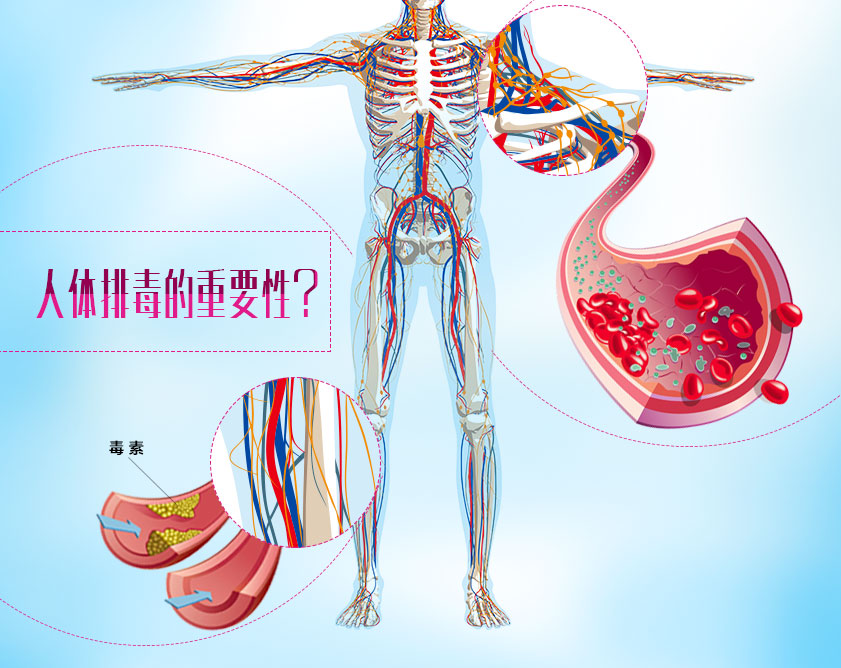 天天说排出毒素一身轻松而你却不懂如何排毒