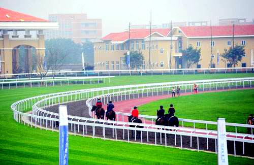 温江大学城,金马国际赛马场……看一看温江人推荐的新