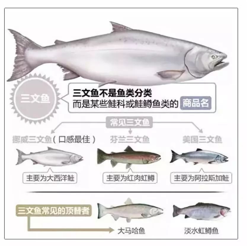 【警惕】你吃的是三文鱼，还是寄生虫？看完吓出一身冷汗……