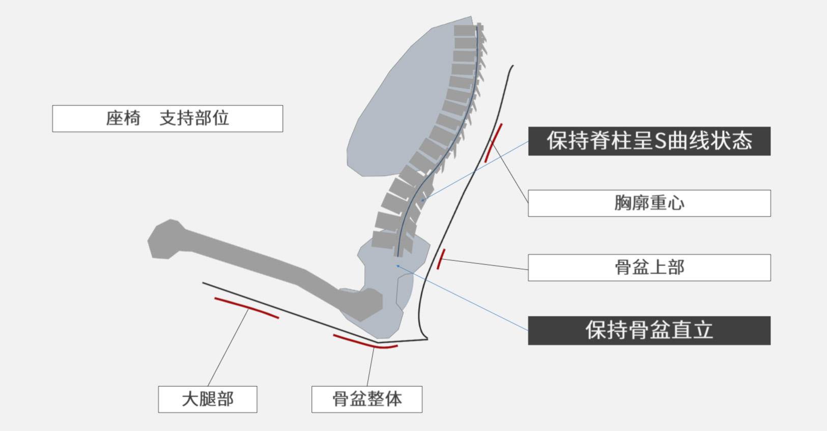 胸廓人口处_人口普查