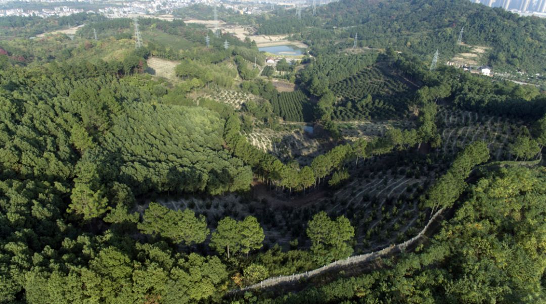 诸暨有个地方竟然叫猪头山有美景有农庄还有一大波美食