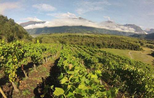 谷(maipo valley),卡恰布谷(cachapoal valley),空加瓜谷(colchagua