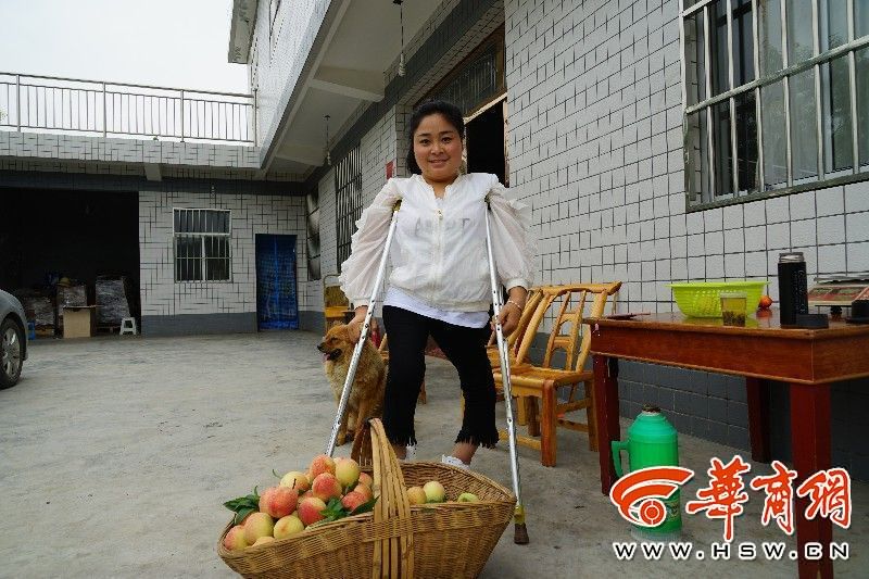 安康残疾女孩随父上山种桃 如今年收入10万元