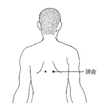 悬灸或按摩脾俞穴方法