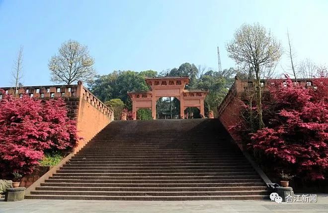 四川省合江县法王寺镇人口_合江县福宝镇各村照片