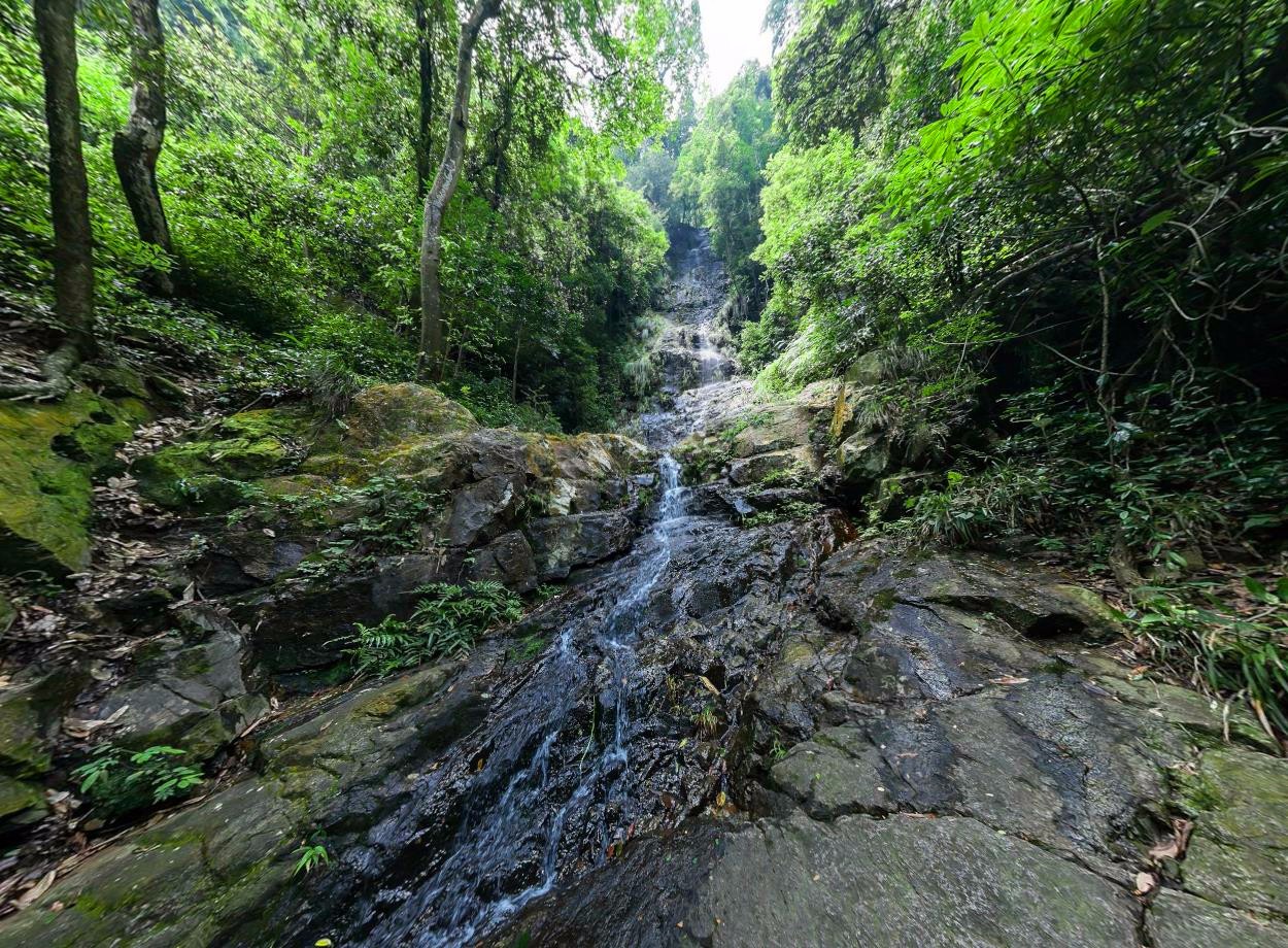 南平市溪源峡谷,峡谷内风光漪丽,景色秀美,柳暗花明又