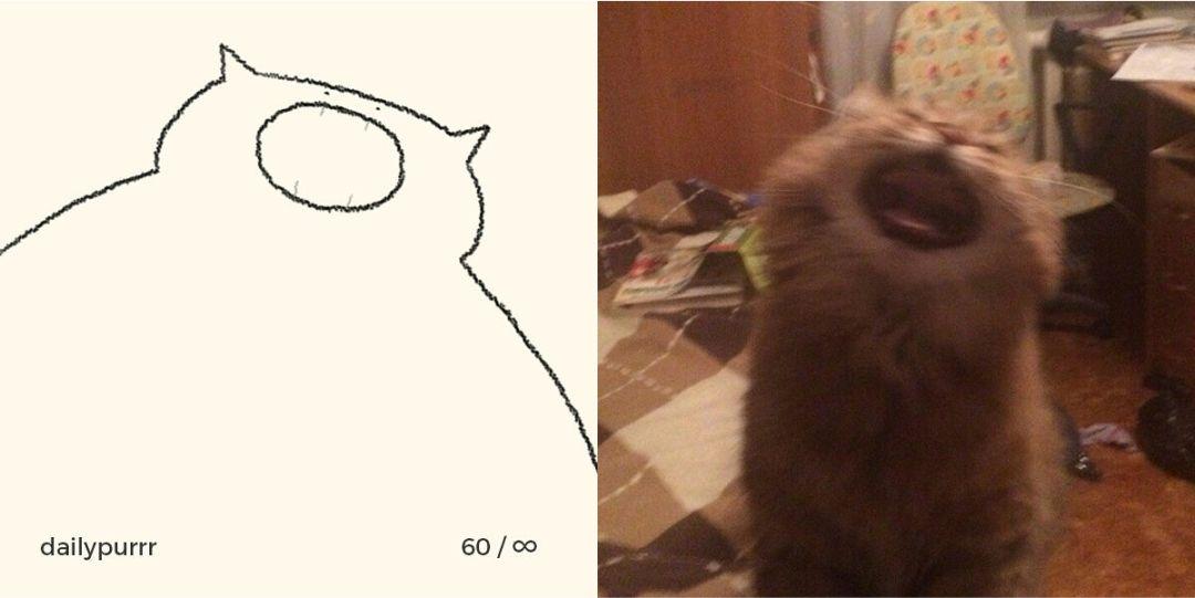 他每天画一幅猫,但只用一根线条,堪称喵星人的"灵魂画手!