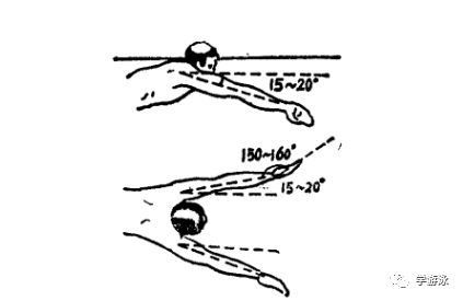 干货!游泳教练力荐的学习方法,手把手教会蛙泳