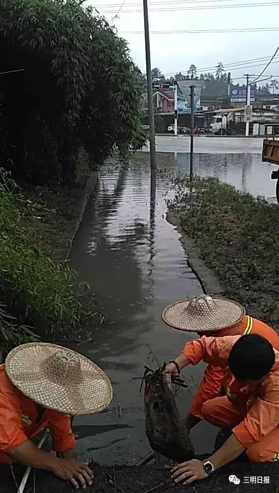 魏坊村人口_人口普查